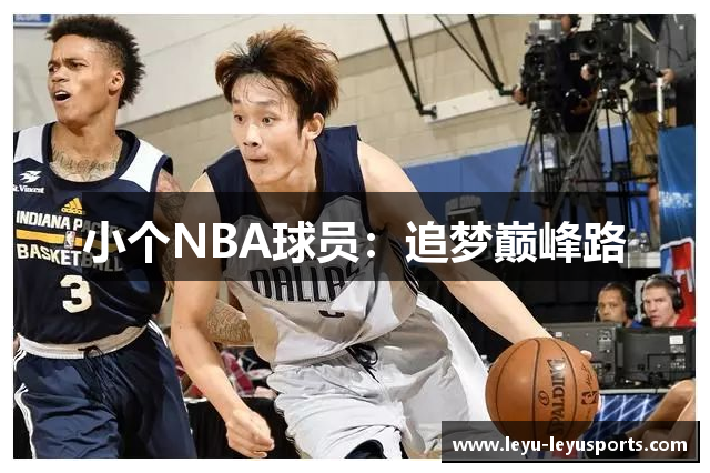 小个NBA球员：追梦巅峰路