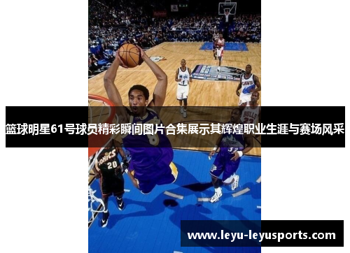 篮球明星61号球员精彩瞬间图片合集展示其辉煌职业生涯与赛场风采